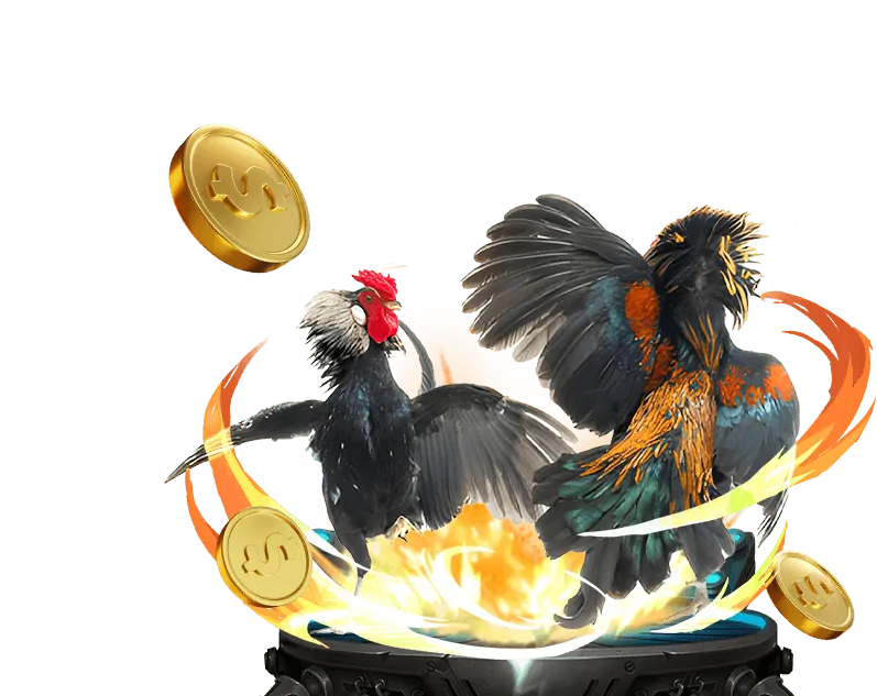 Giới thiệu về 33win6